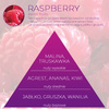 Wkład zapachowy Spring Air do dozownika Smart Air RASPBERRY