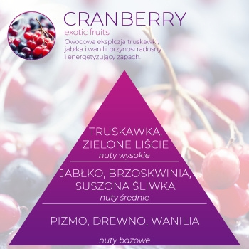 Wkład zapachowy Spring Air do dozownika Smart Air CRANBERRY