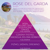 Wkład zapachowy Spring Air do dozownika Smart Air ROSE DEL GARDA