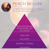 Wkład zapachowy Spring Air do dozownika Smart Air PEACH BELLINI