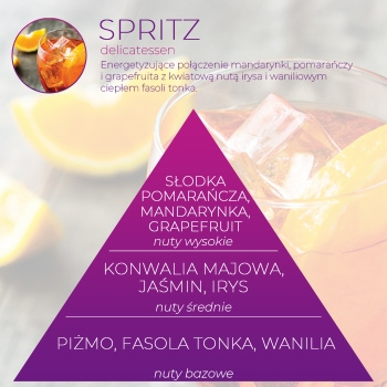 Wkład zapachowy Spring Air do dozownika Smart Air SPRITZ