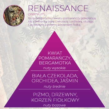 Wkład zapachowy Spring Air do dozownika Smart Air RENAISSANCE