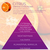 Wkładka do pisuarów Fre Pro Citrus 2 szt