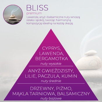 Wkład zapachowy Spring Air do dozownika Smart Air Bliss
