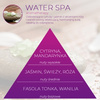 Wkład zapachowy Spring Air do dozownika Smart Air WATER SPA