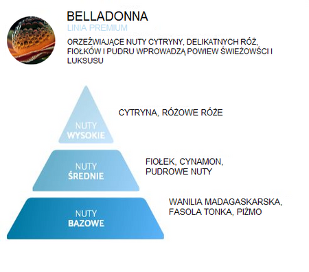 Wkład zapachowy Spring Air do dozownika Smart Air BELLADONNA
