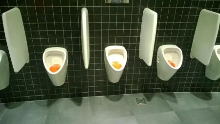 Wkładka do pisuarów Fre Pro Kiwi Fabulous 2 szt
