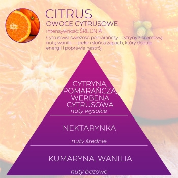 Wkładka do pisuarów Fre Pro Citrus 2 szt