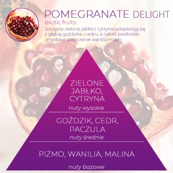 Wkład zapachowy Spring Air do dozownika Smart Air POMEGRANATE DELIGHT