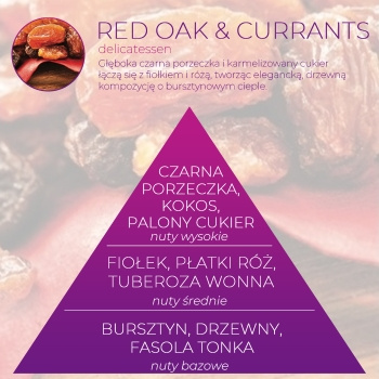 Wkład zapachowy Spring Air do dozownika Smart Air RED OAK & CURRANTS