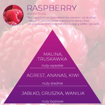 Wkład zapachowy Spring Air do dozownika Smart Air RASPBERRY