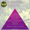 Wkład zapachowy Spring Air do dozownika Smart Air GREEN FOREST