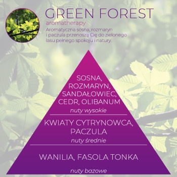 Wkład zapachowy Spring Air do dozownika Smart Air GREEN FOREST