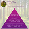 Wkład zapachowy Spring Air do dozownika Smart Air WOODY