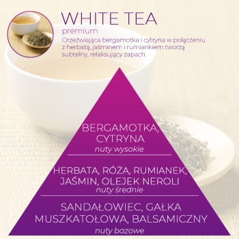 Wkład zapachowy Spring Air do dozownika Smart Air WHITE TEA