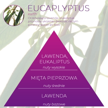 Wkład zapachowy Spring Air do dozownika Smart Air EUCALYPTUS