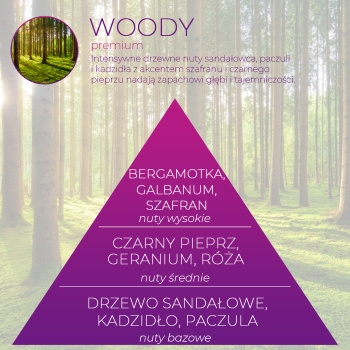Wkład zapachowy Spring Air do dozownika Smart Air WOODY