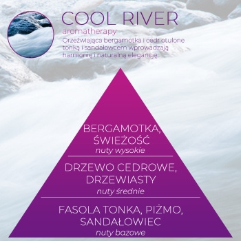 Wkład zapachowy Spring Air do dozownika Smart Air COOL RIVER