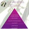 Wkład zapachowy Spring Air do dozownika Smart Air EUCALYPTUS