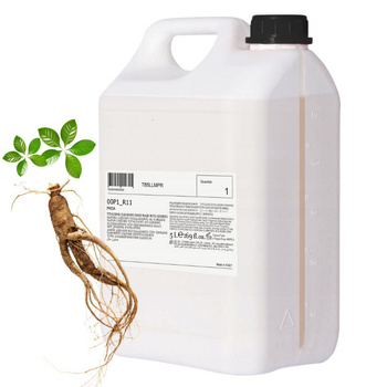 PRIJA Hand Wash - Mydło w płynie - 5l